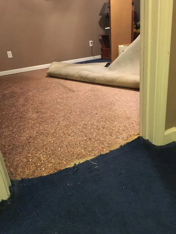Carpet pad removal revealing water damage during Drying & Dehumidification in Ossining